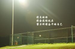 开云体育平台APP-绿茵孤勇者，布罗佐维奇的火热之心，点燃丹麦与厄瓜多尔的生死战