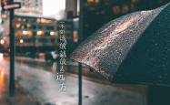 开云体育登录-恒河之光熄灭北欧极光，2026世界杯G组，福登的魔术与印度足球的史诗级险胜