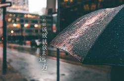 开云体育登录-恒河之光熄灭北欧极光，2026世界杯G组，福登的魔术与印度足球的史诗级险胜