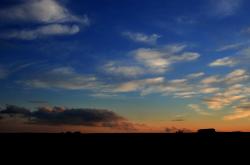 开云体育中国-胜利密码，从黄蜂的团队风暴到福克斯的致命尖牙
