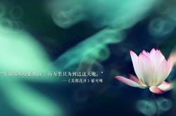 开云体育官网-当切特在球场开启F1模式，老鹰力克火箭背后的极速哲学