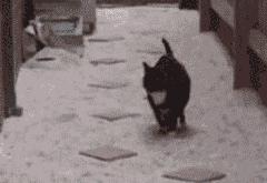 开云体育app-足球世界的一体两面，梅西的优雅里程碑与洪都拉斯的狂野胜利