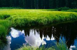 开云体育中国-雅典娜的黄昏，奥运战火与曼城金元帝国的神话覆灭