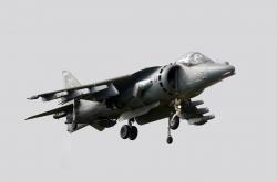 开云体育入口-末节风暴！广东最后防线竟被这只赤狐撕碎