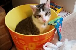 开云体育官网-当德甲遇上哈登，争冠战之夜，全场评分拉满的传奇