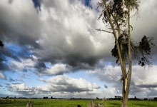 开云体育平台APP-拉沃尔杯轻取法网，兹维列夫带队取胜