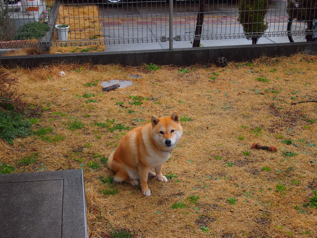 逆境中的英雄，保罗独舞助76人险胜四川