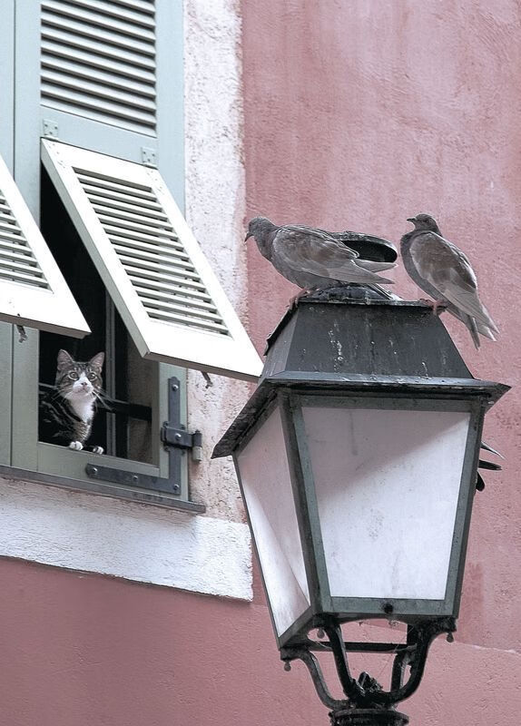 唯一性之战，奥亚尔萨瓦尔数据全面爆炸，重塑突尼斯对阵乌克兰的传奇