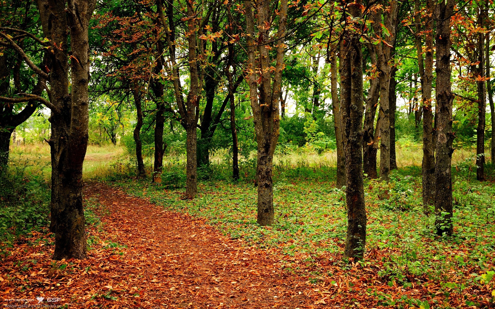 王座之巅的独舞,德甲争冠夜,拉梅洛书写唯一性传奇