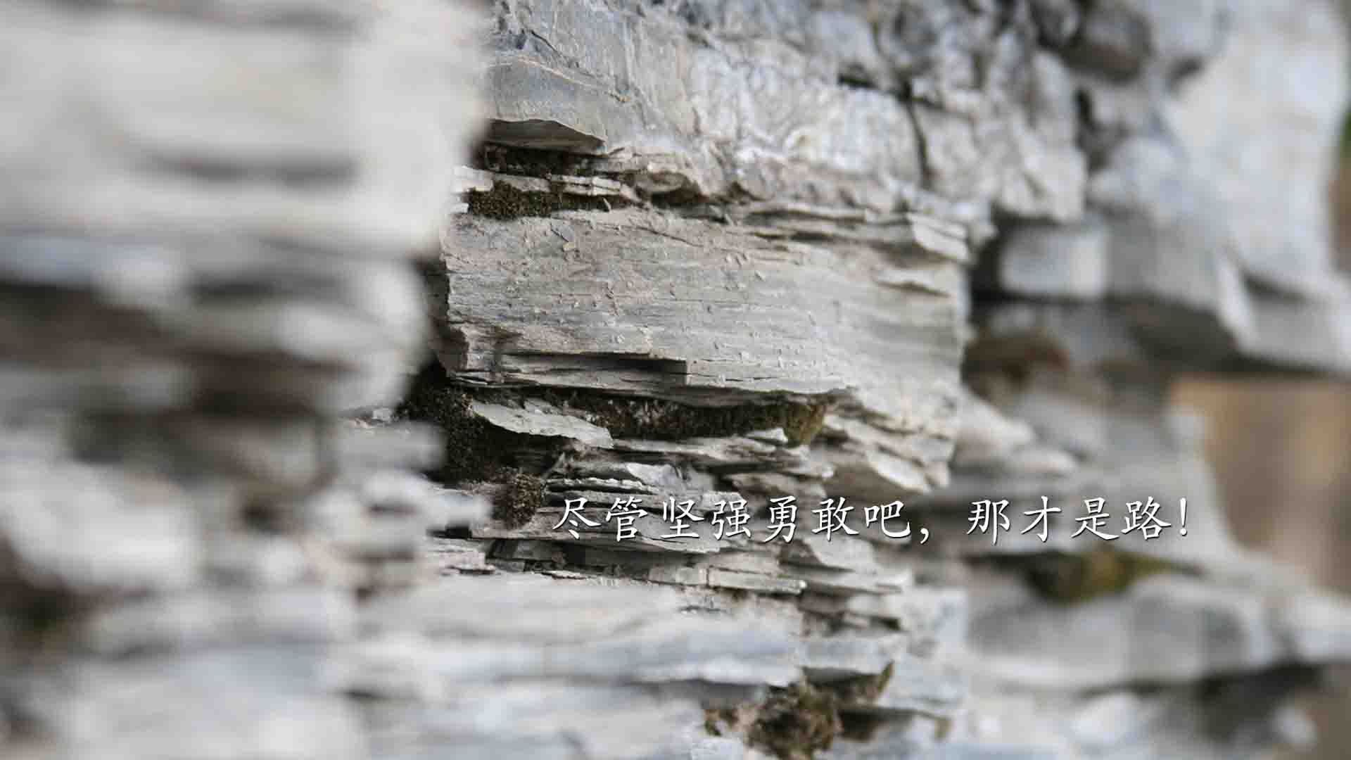 巴尔韦德凌晨破局，当晨光刺透马赛的钢铁防线