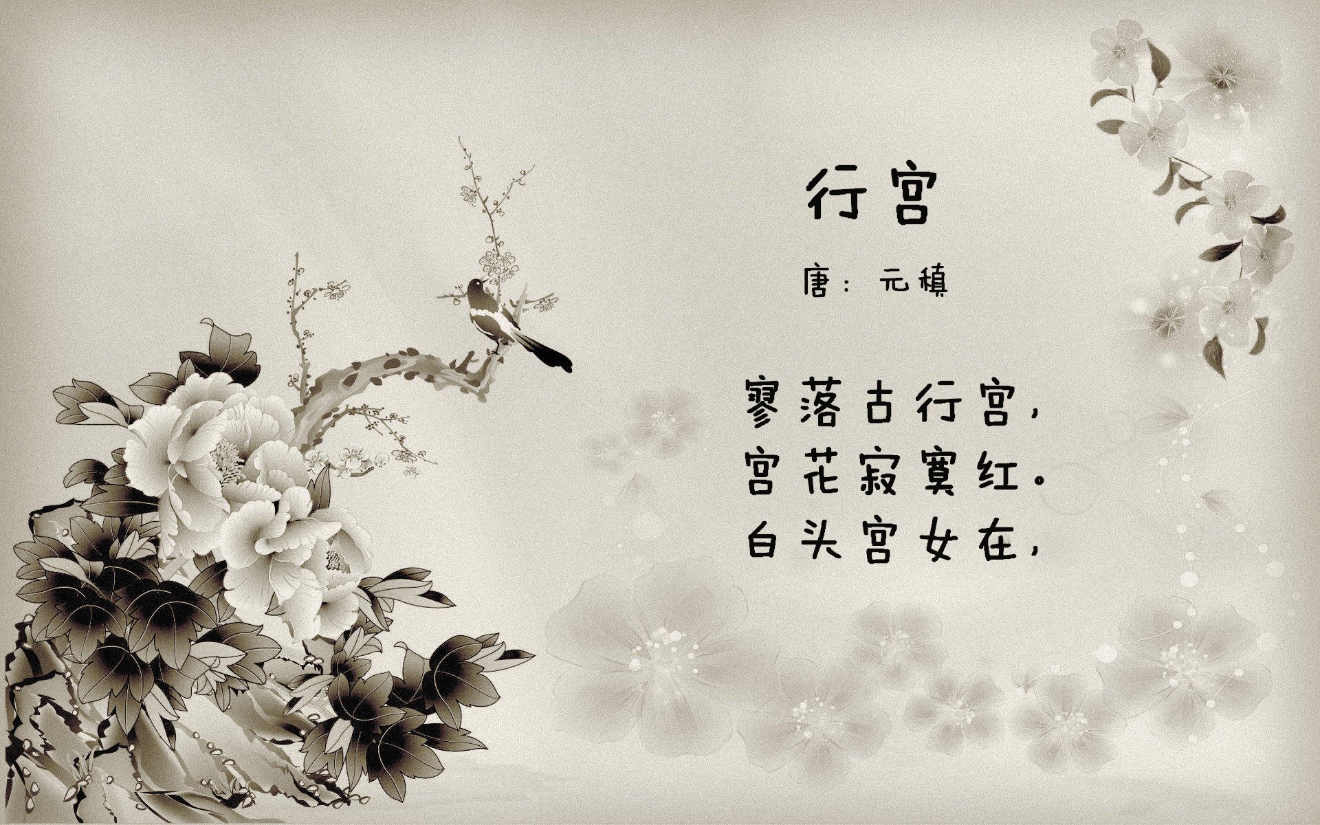 新神挑战旧秩序，土耳其旋风如何撼动百年豪门