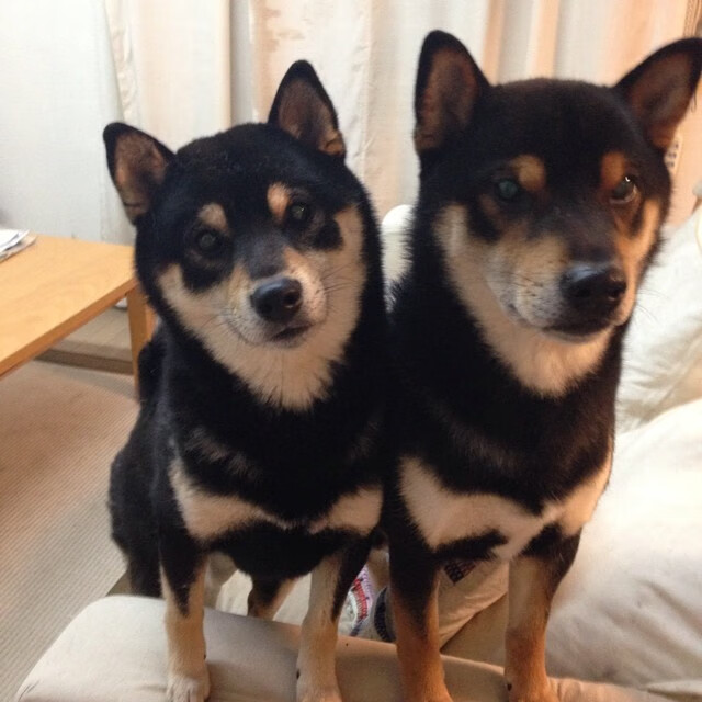 全球聚焦!两场决胜局见证两种王者逻辑