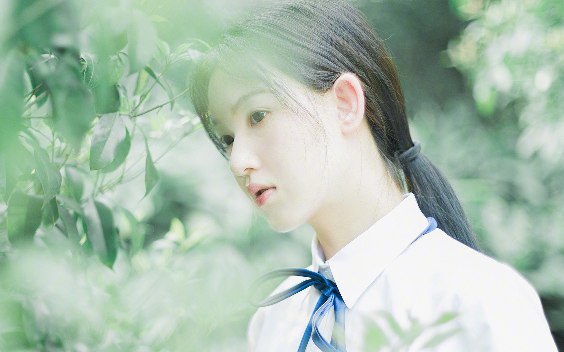 西语体育荣耀夜，皇家社会跨洋决胜，阿劳霍街道狂飙接管未来