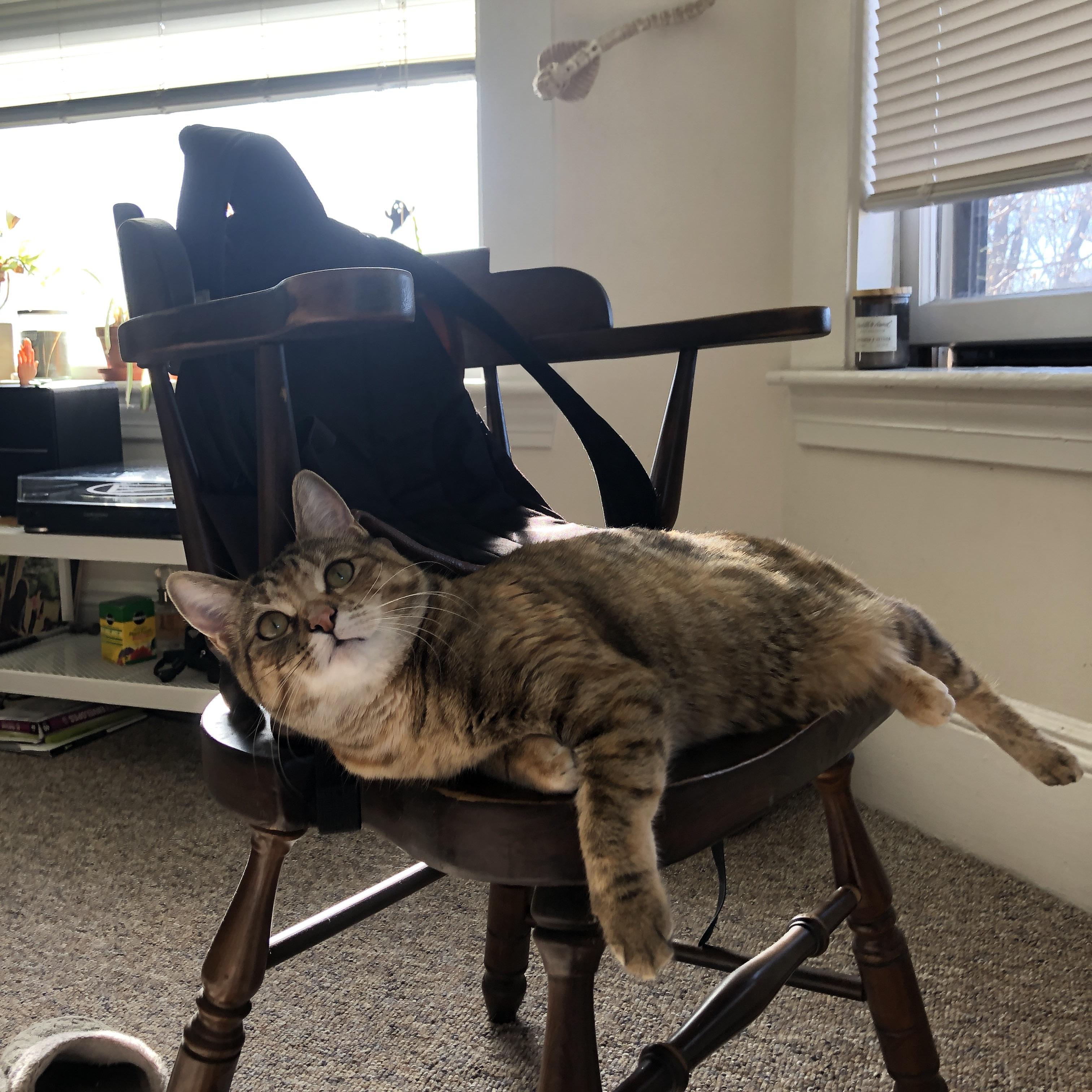 极速与对抗，当F1引擎轰鸣篮球馆，雷霆以科技风暴全面压制上海