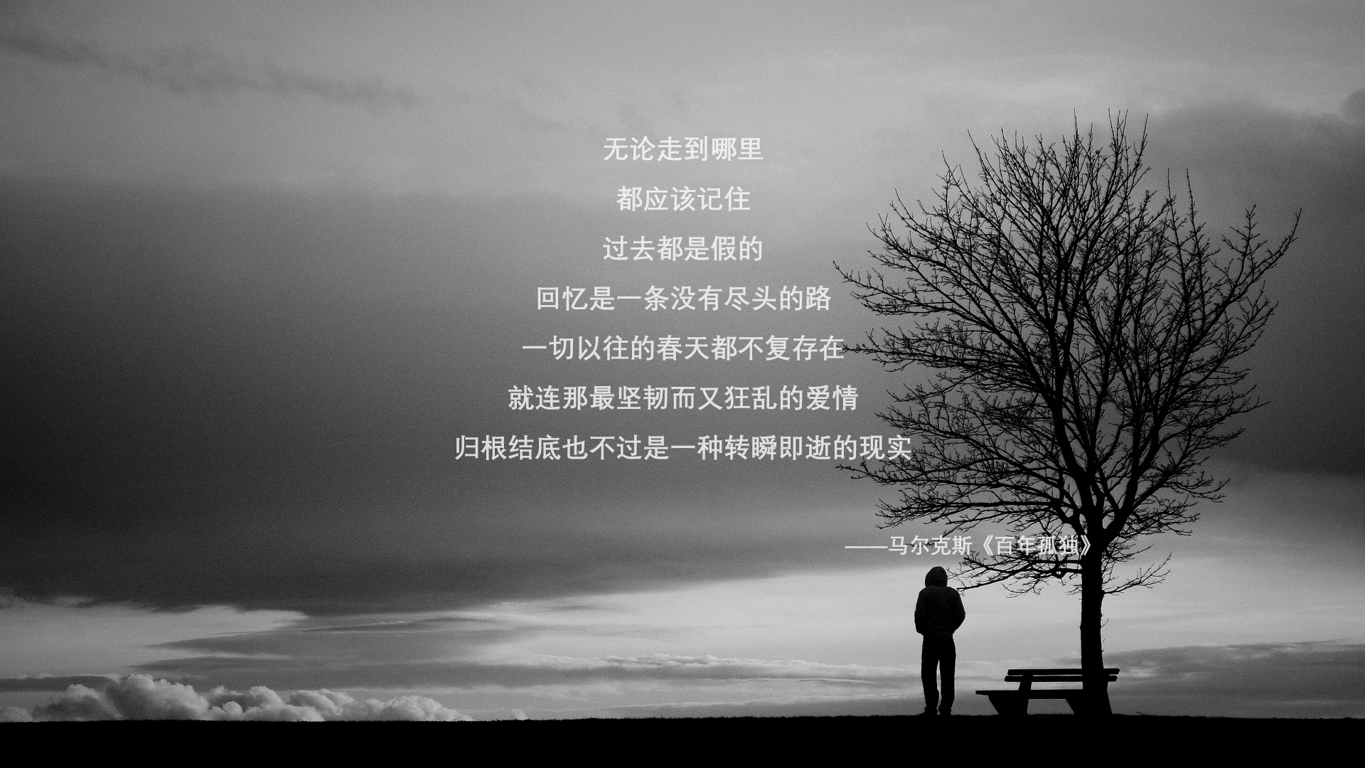 核心之力与单节风暴，团队领袖与瞬间爆发的双重奏