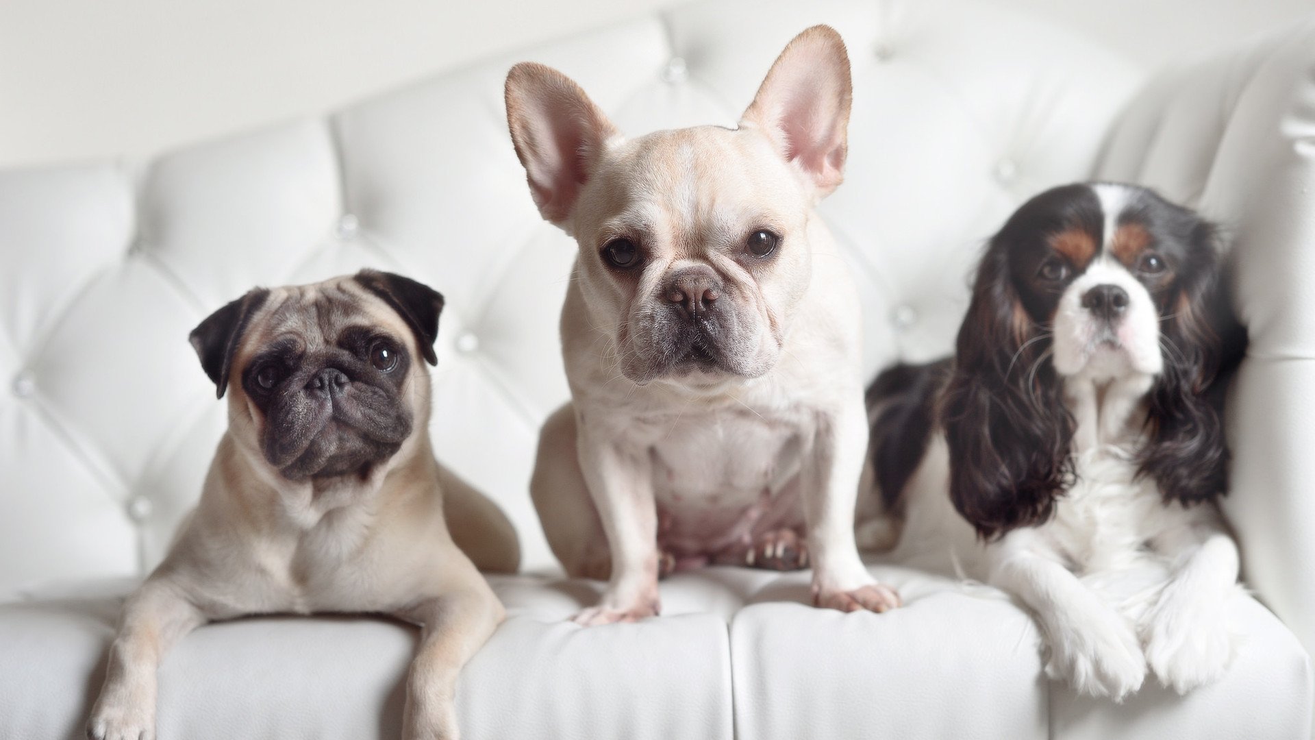 哈弗茨的罗马首秀,用实力证明自己,助球队横扫拜仁