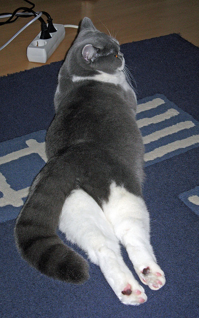 卡塔尔寒夜，基耶萨一剑封喉，当大场面先生注定成为曼城时代的裂缝