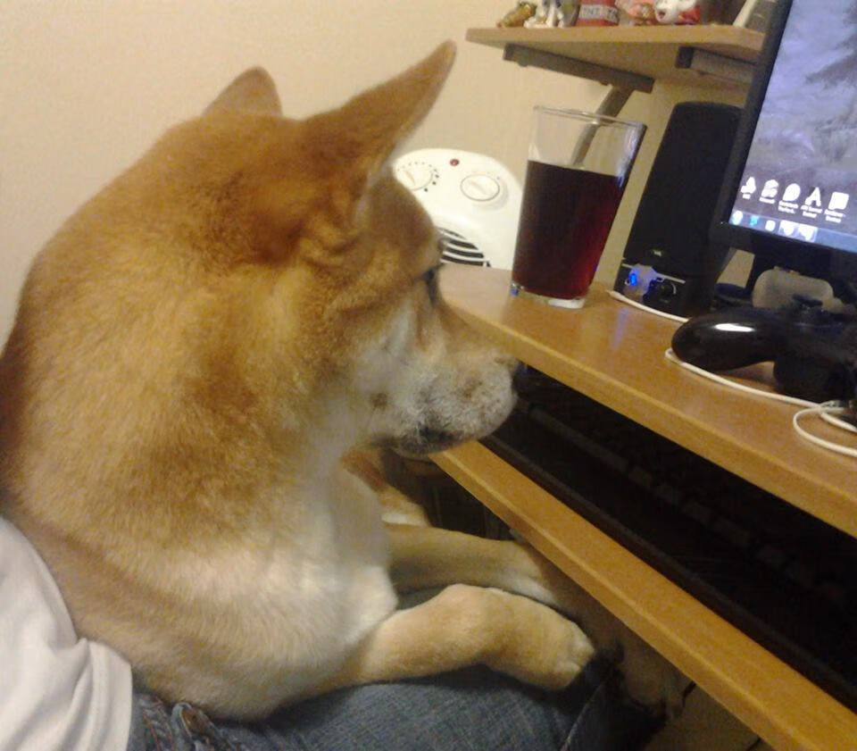 燃烧之夜的金线,布鲁诺一瞬编织永恒