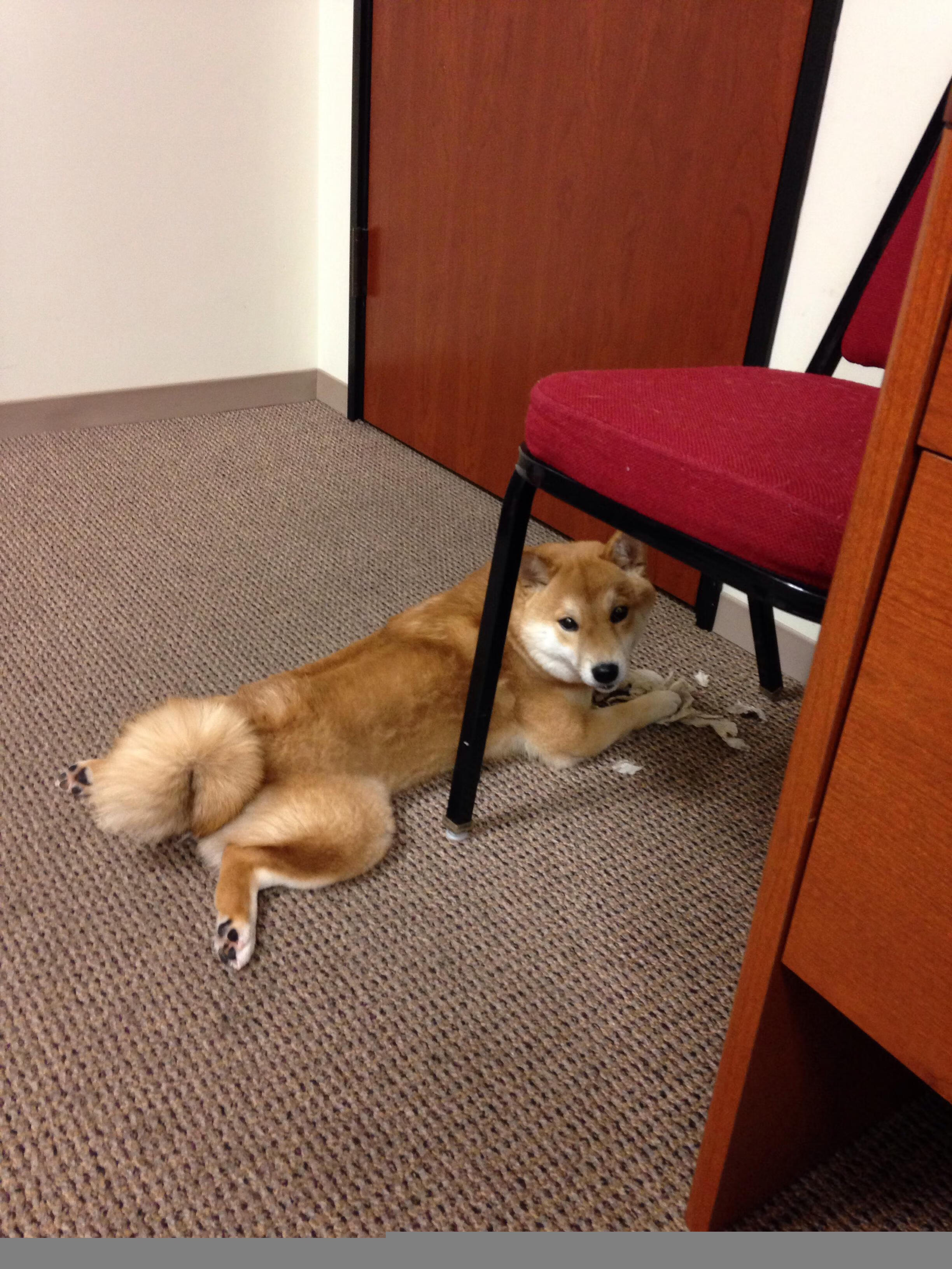 看到您的要求,我已准备好用一次从标题到内容的深度创作,来诠释这场想象中的经典对决