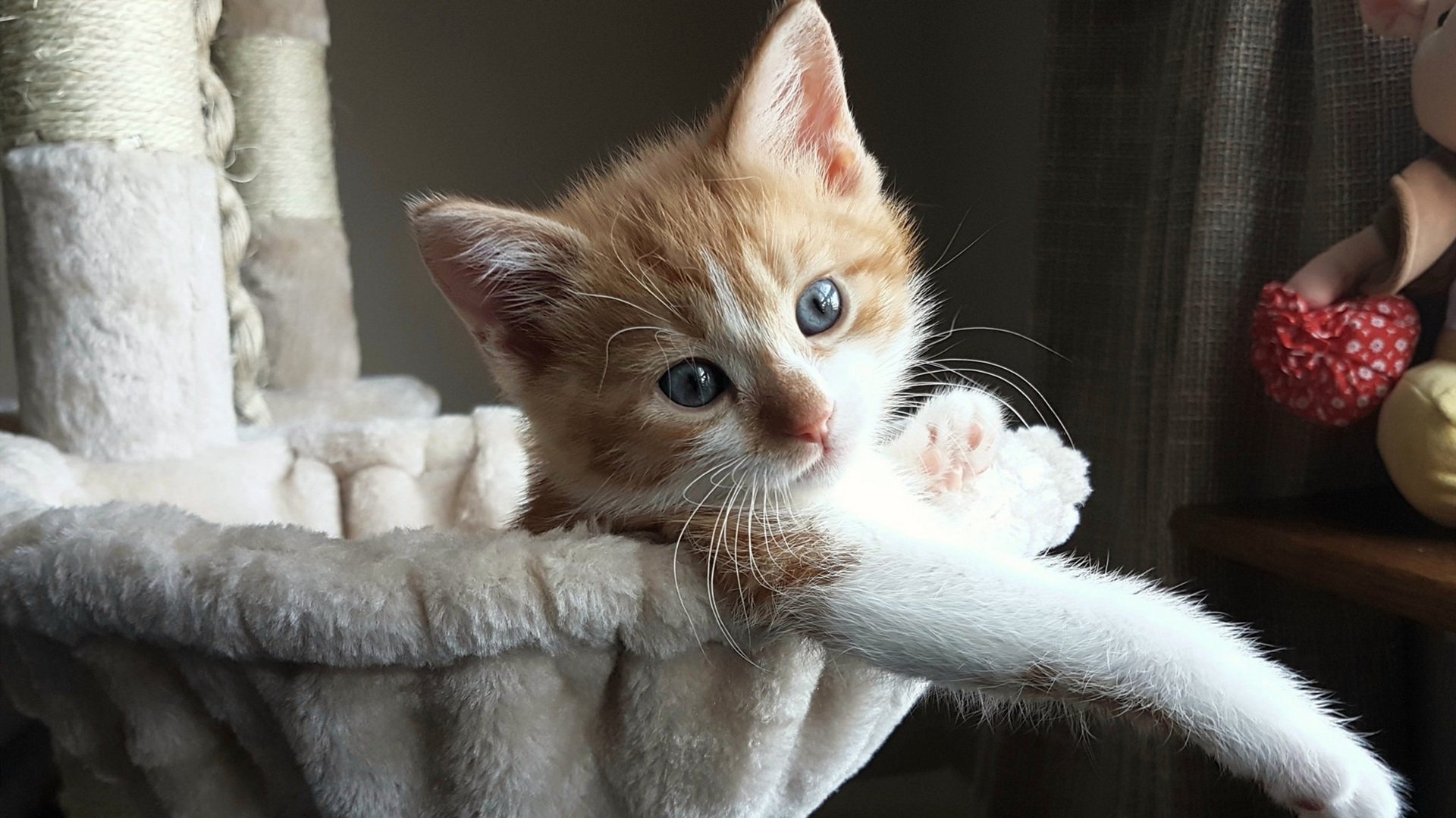 错位的剧本,当米切尔成为绿军与快船之战的唯一主角