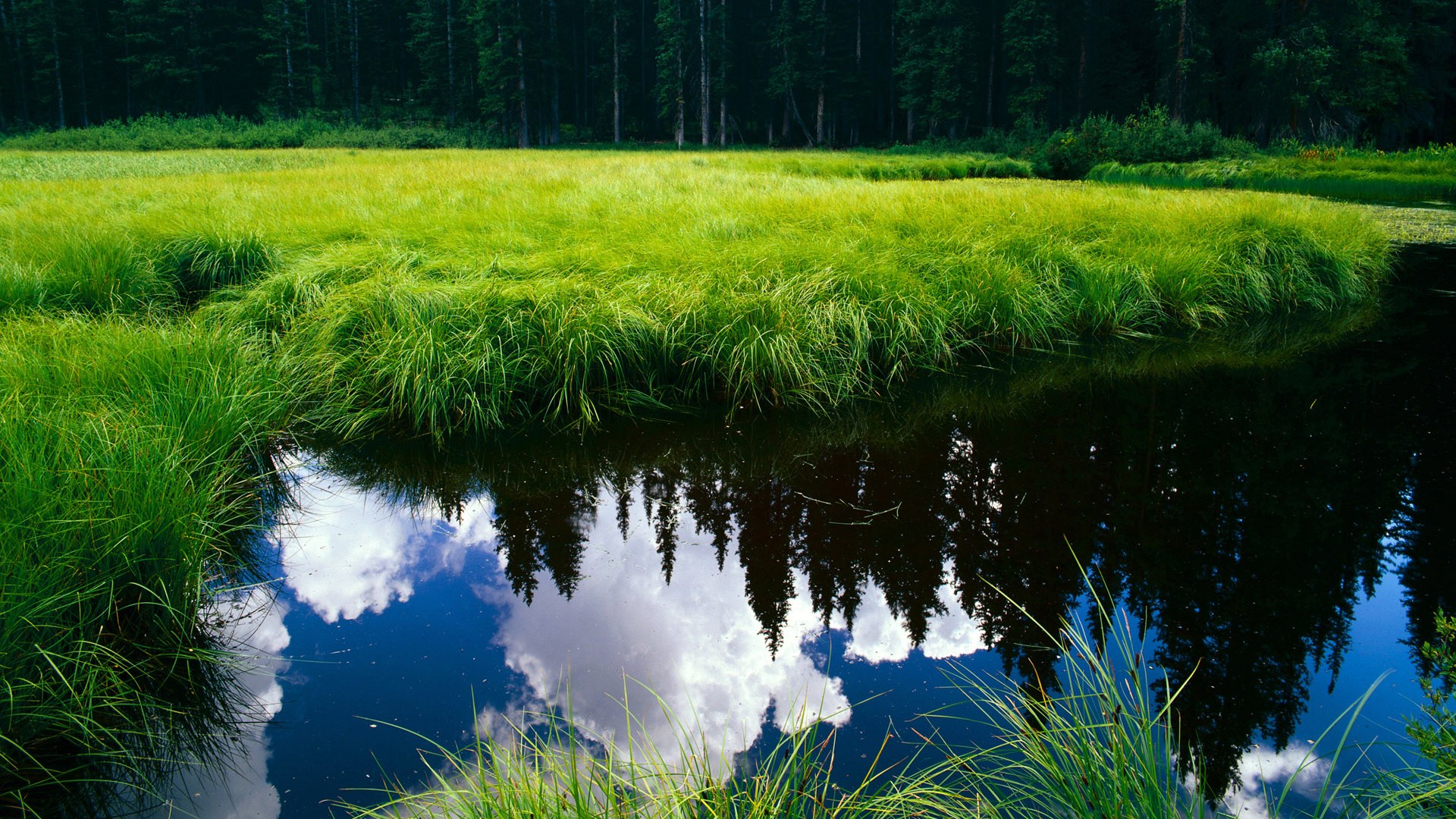雅典娜的黄昏，奥运战火与曼城金元帝国的神话覆灭