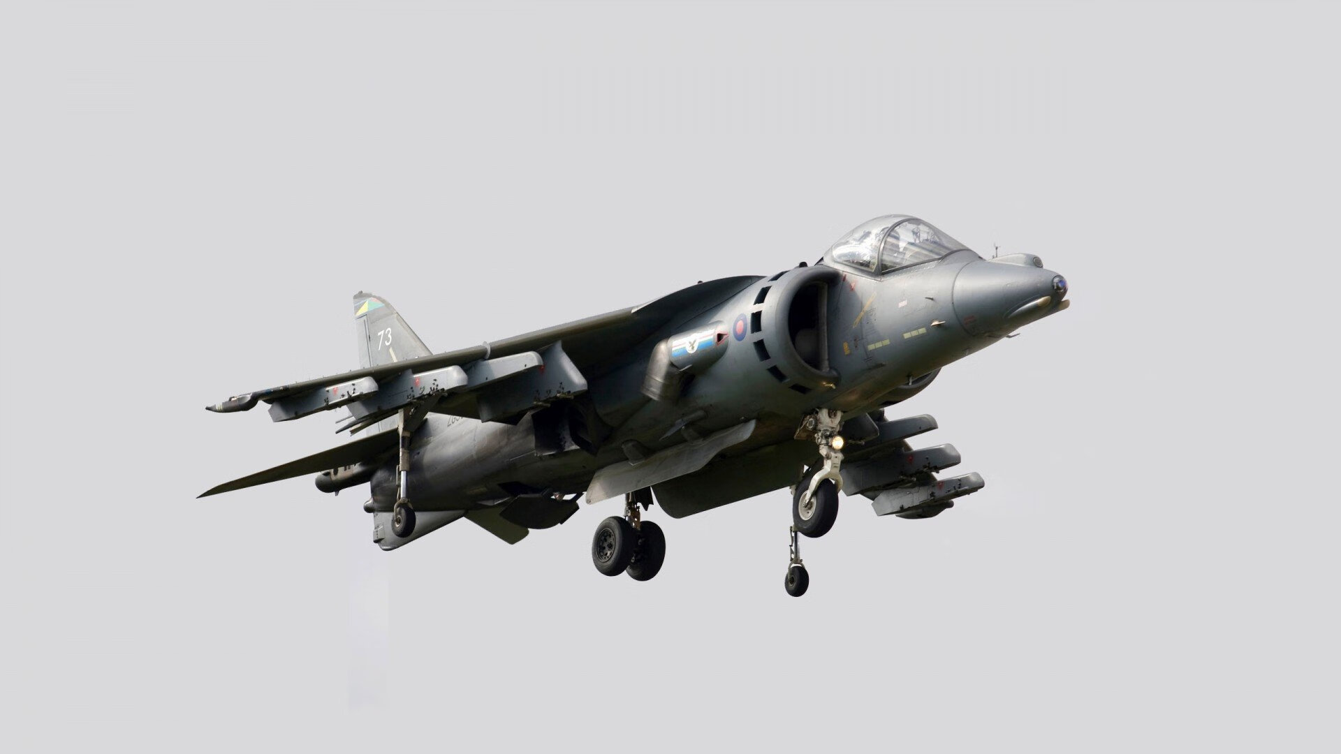 末节风暴！广东最后防线竟被这只赤狐撕碎