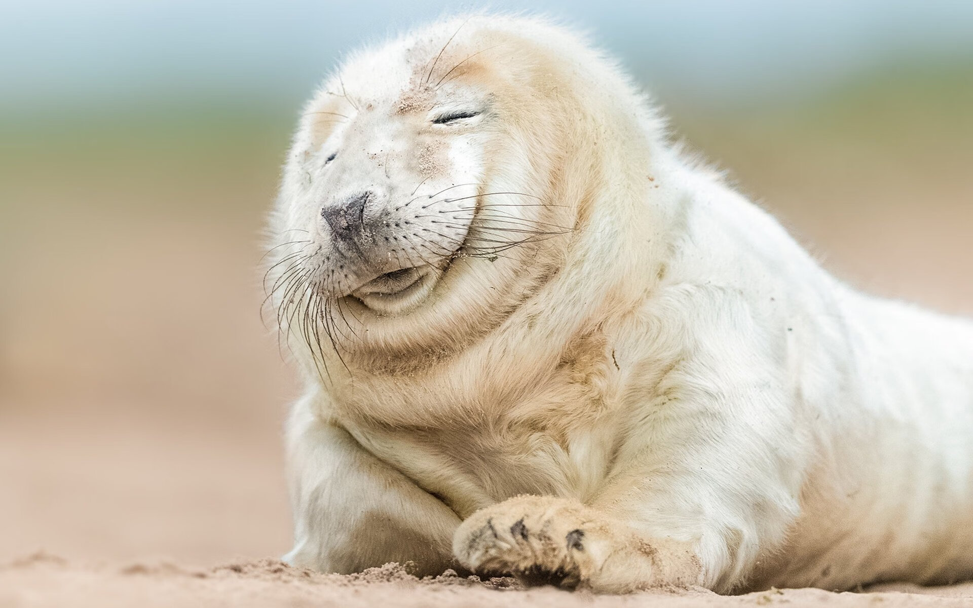 京多安一锤定音,几内亚力克伊拉克提前出线