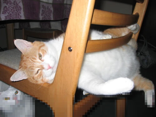 卡塔尔时间，阿克用压哨绝杀为足球地理学改写的夜晚