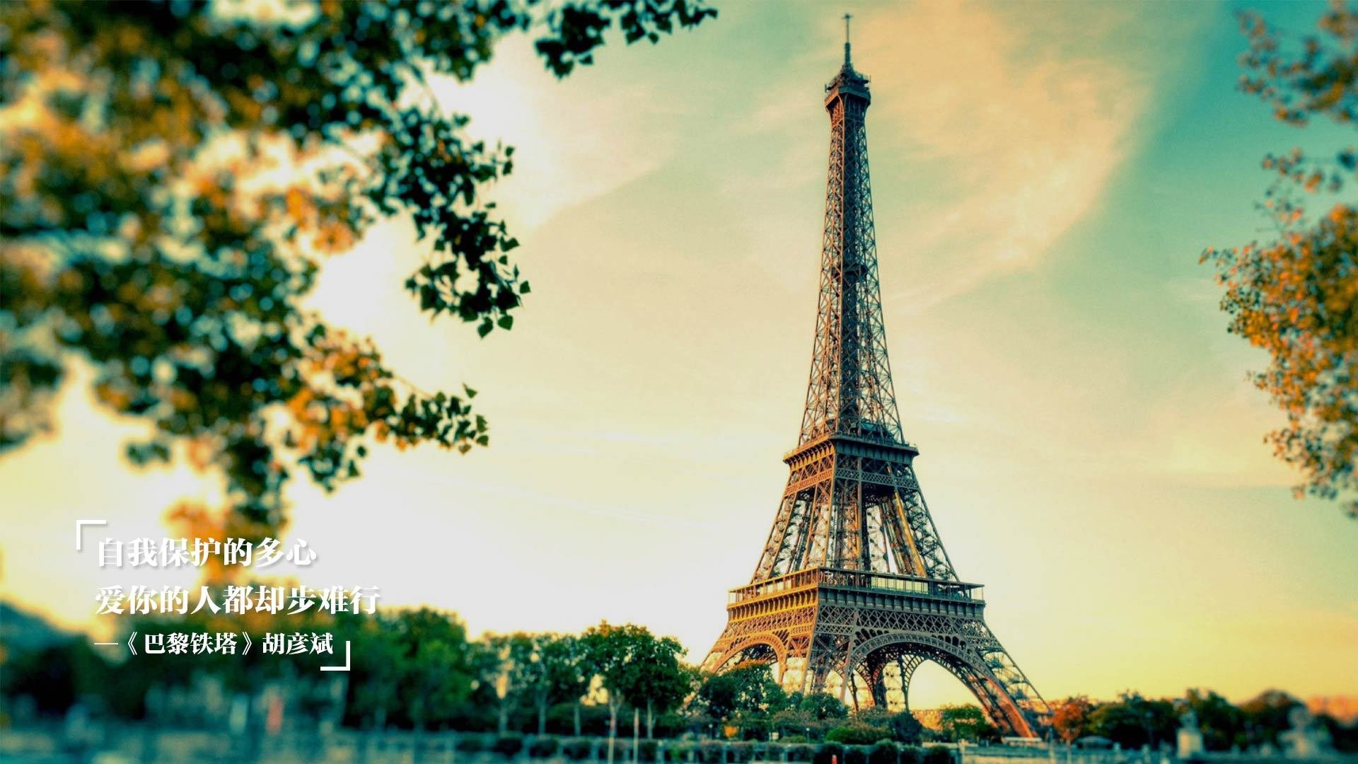 德甲争冠战之夜，哈兰德生涯之星的璀璨绽放