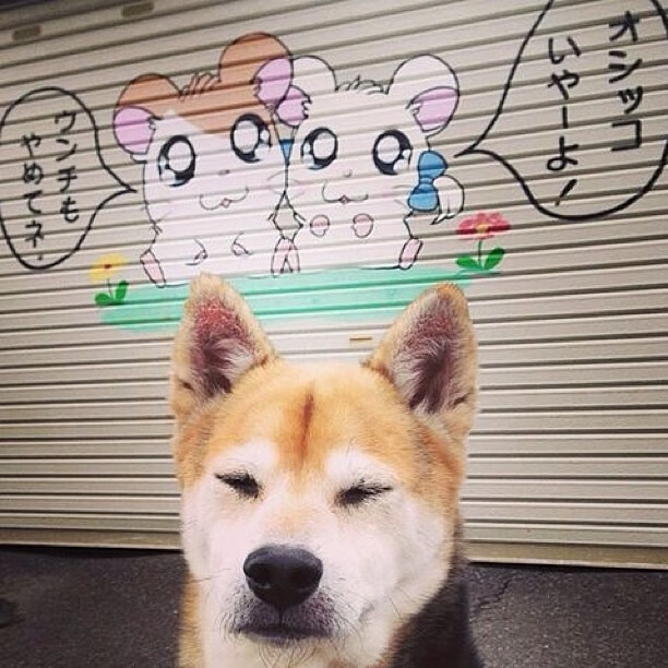 亚洲风暴席卷非洲雄狮，2026墨西哥之夏，中国足球的历史性突破