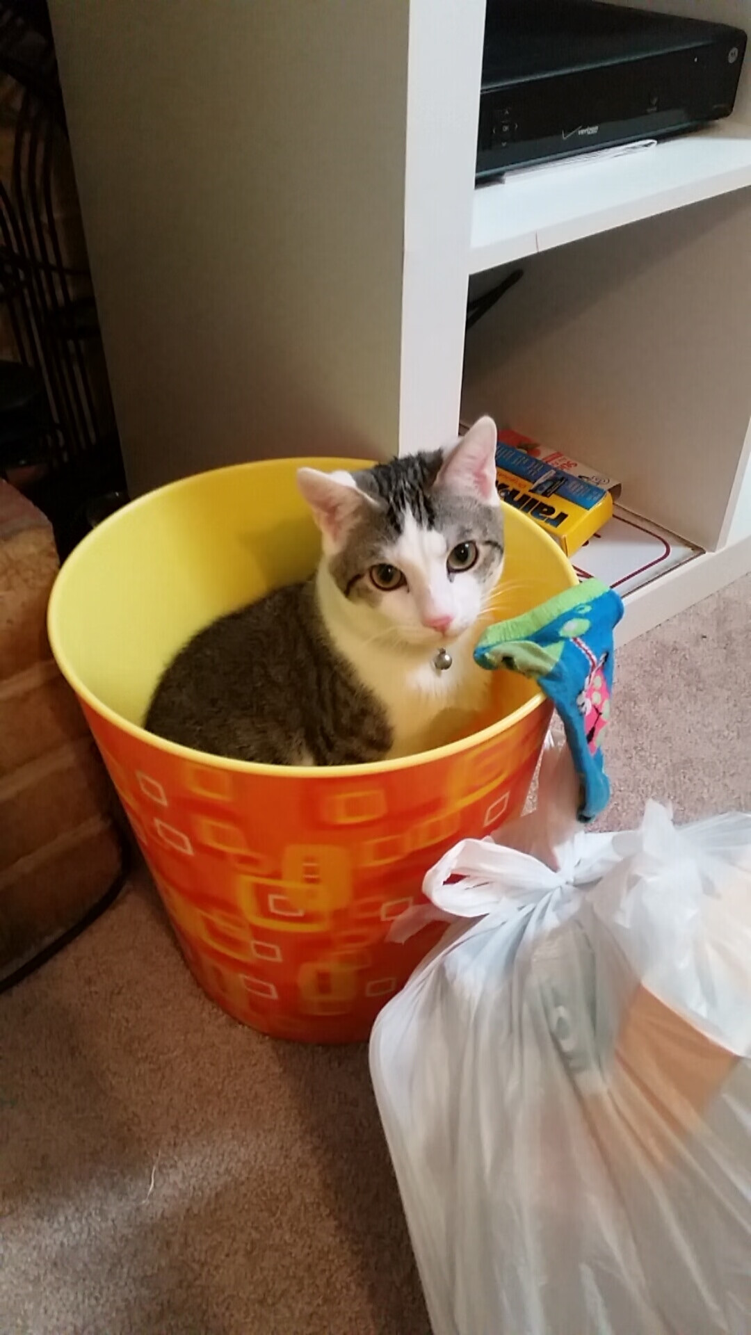 当德甲遇上哈登，争冠战之夜，全场评分拉满的传奇