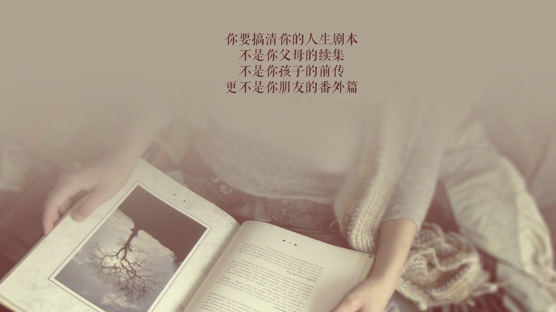 橙色风暴的黄昏，2026世界杯D组生死战，厄瓜多尔横扫荷兰，吉鲁绝命一击，门神铸就铁壁