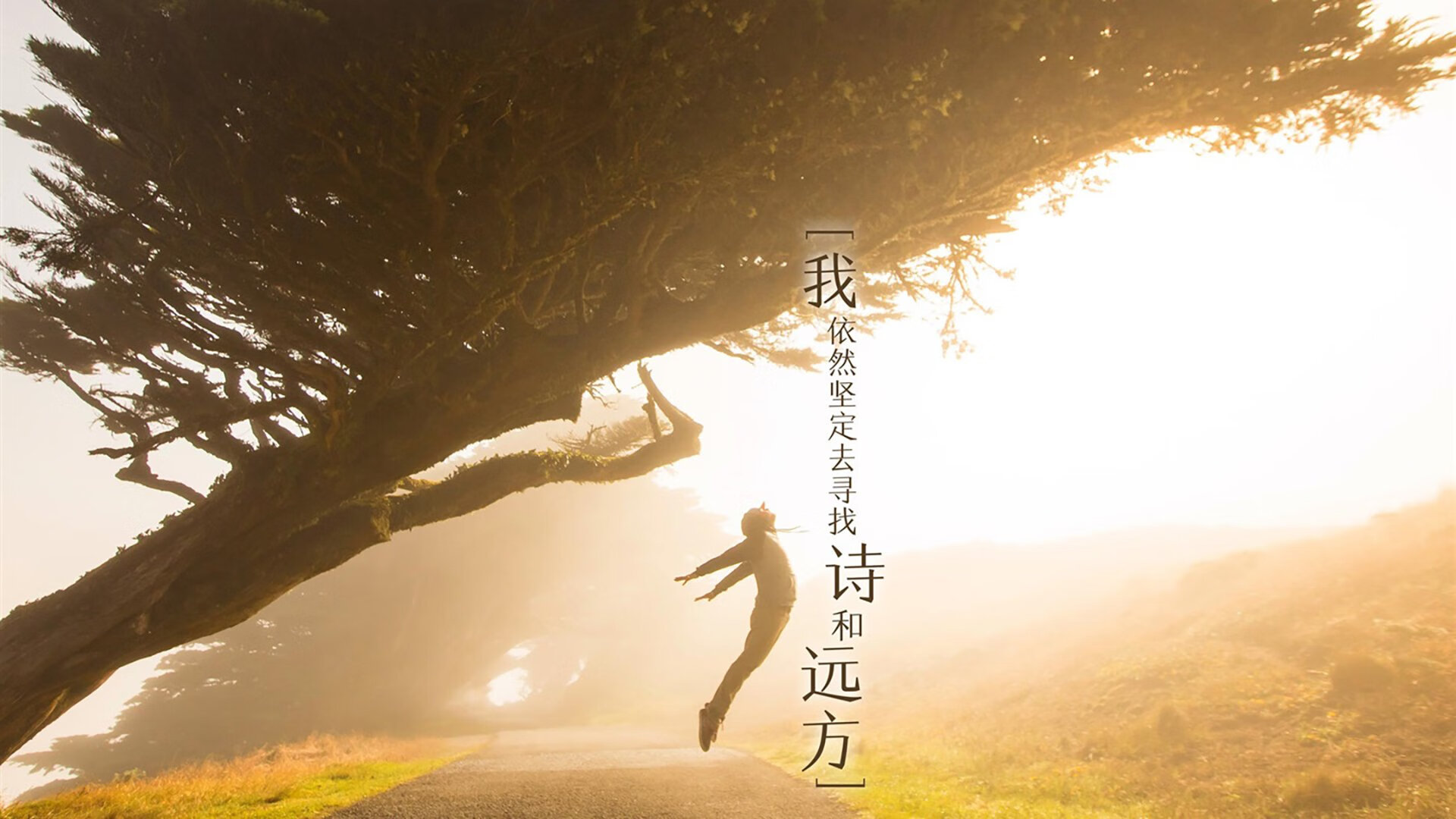 风车折戟安第斯之矛，厄瓜多尔三刀斩落郁金香，佩德里冷血一击终结悬念
